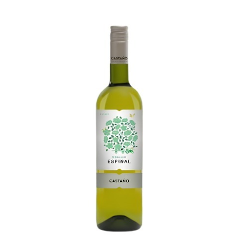 CASTANO DOMINIO ESPINAL BLANCO 75CL